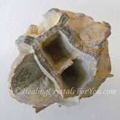 Melikaria Boosts Memory, Helps You be More Organized