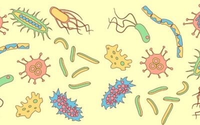 A Secret To Healthy Aging May Be the Bugs In Your Microbiome