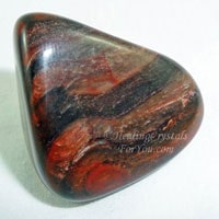 Petrified Wood Enhances Patience, Grounding & Ancestral Healing