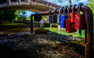 Our Post-Truth, Post-Trust World