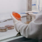 Biossil exits stealth with  million USD to give failed medicines a second chance