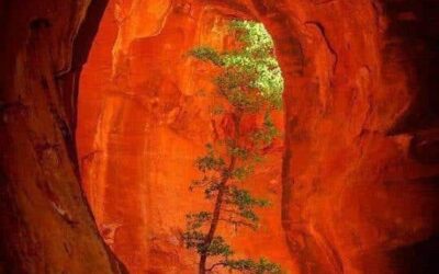 Our Sacred Planet Mother Earth in all of it’s Amazing Beauty and the Quote of the Day 141