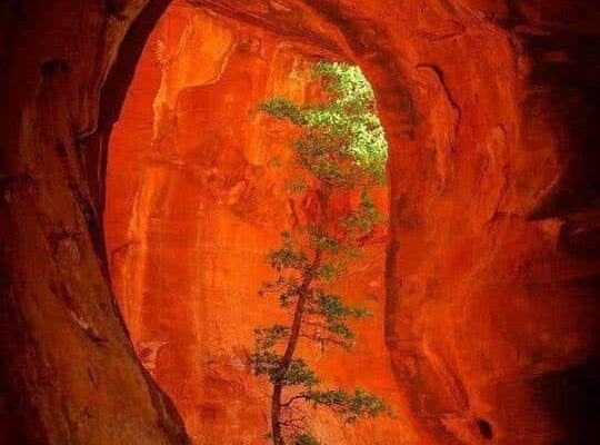 Our Sacred Planet Mother Earth in all of it’s Amazing Beauty and the Quote of the Day 141