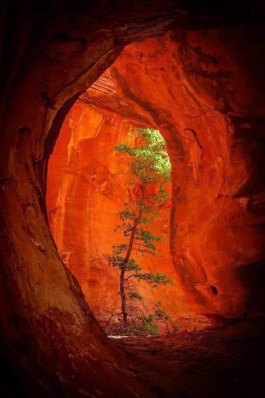 Our Sacred Planet Mother Earth in all of it’s Amazing Beauty and the Quote of the Day 141