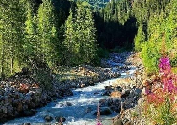 Our Sacred Planet Mother Earth in all of it’s Amazing Beauty and the Quote of the Day 131