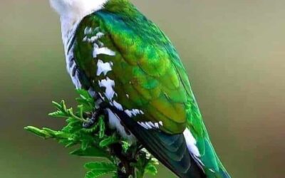 Our Sacred Planet Mother Earth in all of it’s Amazing Beauty and the Quote of the Day 130