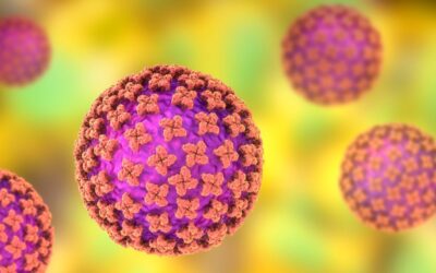 Why experts say the hantavirus outbreak is not another COVID