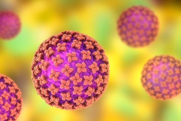 Why experts say the hantavirus outbreak is not another COVID