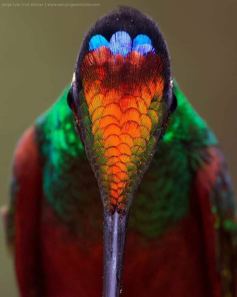Our Sacred Planet Mother Earth in all of it’s Amazing Beauty and the Quote of the Day 150
