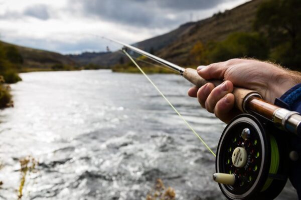 Petition to Ban Hunting and Fishing in Oregon Reaches Threshold to be on the Ballot This Fall
