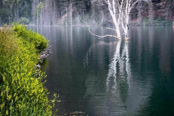Our Sacred Planet Mother Earth in all of it’s Amazing Beauty and the Quote of the Day 148