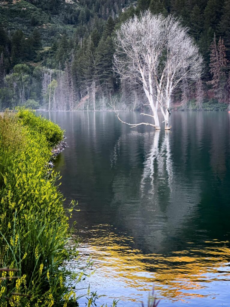 Our Sacred Planet Mother Earth in all of it’s Amazing Beauty and the Quote of the Day 148