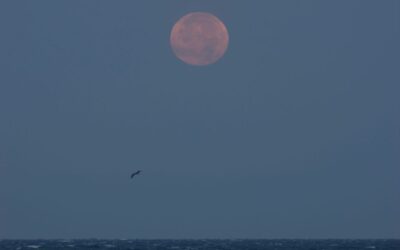 8 sky events all stargazers should catch this month