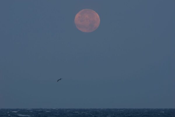 8 sky events all stargazers should catch this month