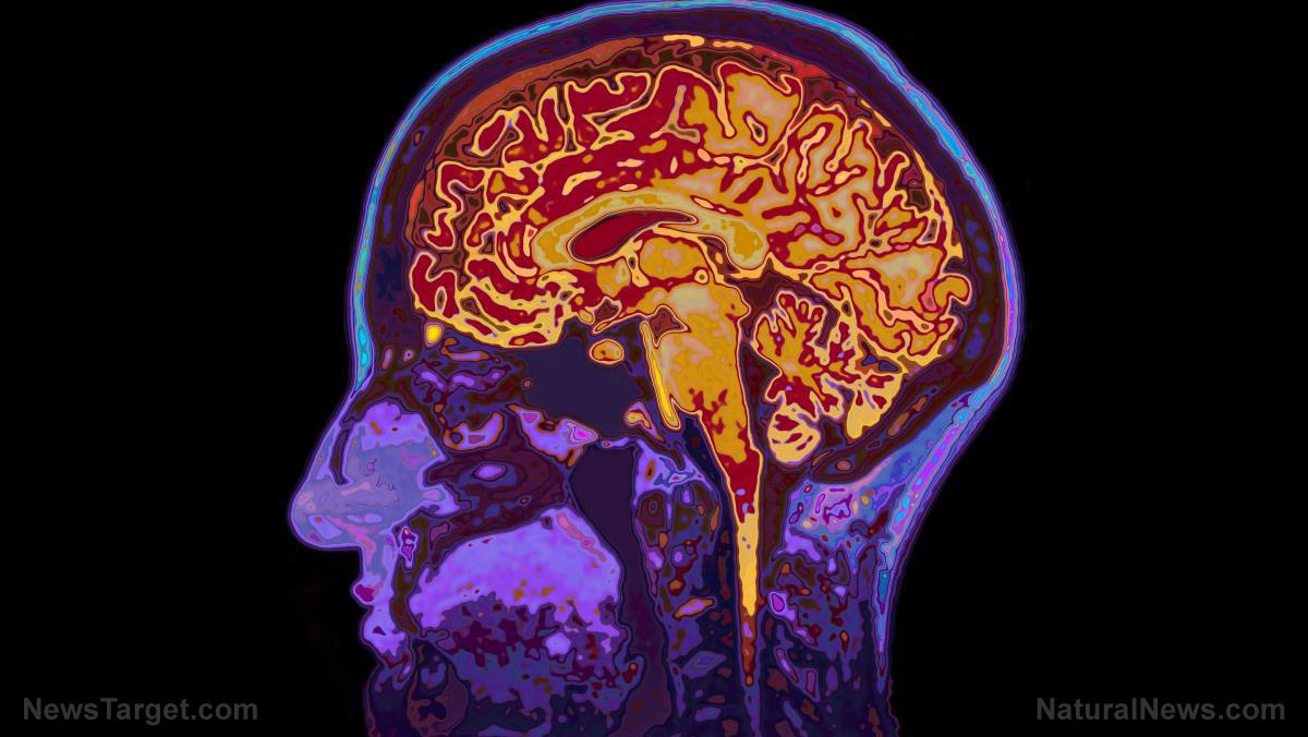88% of Americans worry about memory loss, but only 9% know how to protect brain health