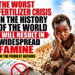 The Worst Fertilizer Crisis In The History Of The World Will Result In Widespread Famine In The Poorest Nations Snip20260426_2-768x716-1