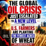 The Global Oil Crisis Just Escalated To A New Level And U.S. Farmers Are Planting The Fewest Acres Of Wheat Since Records Began In 1919 Snip20260429_7-768x768-1