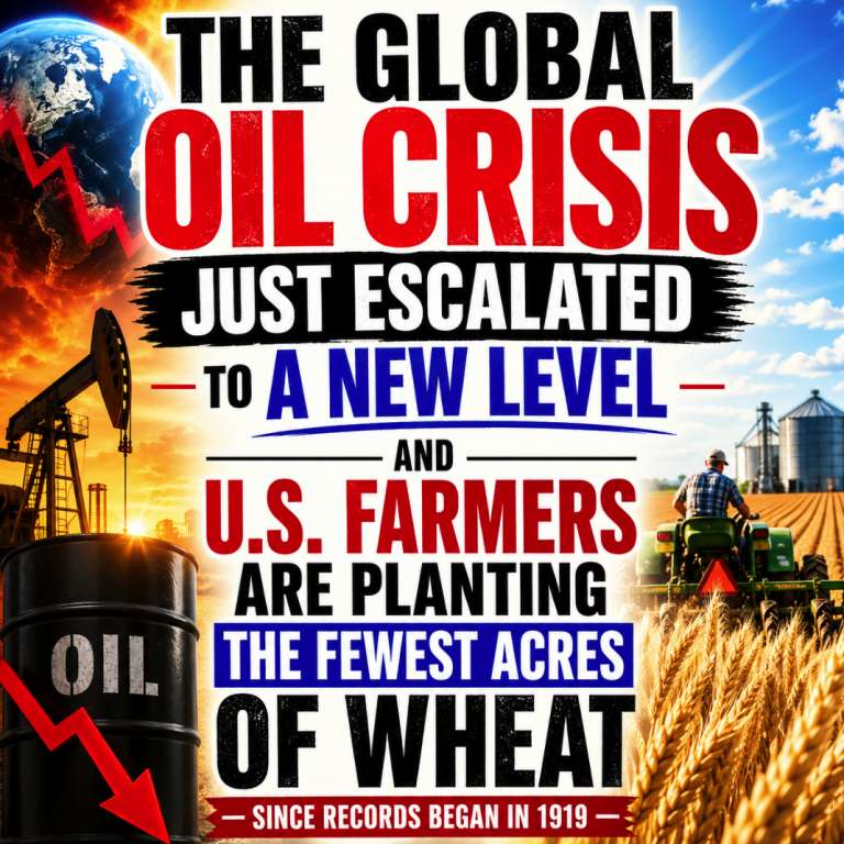 The Global Oil Crisis Just Escalated To A New Level And U.S. Farmers Are Planting The Fewest Acres Of Wheat Since Records Began In 1919