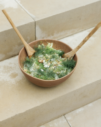 A Crunchy Salad to Enjoy in the Sunshine