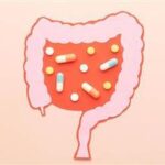 Some Antibiotics Alter Gut Microbiome Composition for Up to 8 Years antibiotics-gut-microbiome-thumb