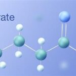 butyrate-immune-system