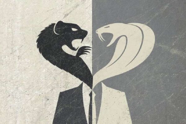 Multipolarity & the Function of the Fake Binary