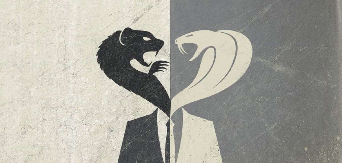 Multipolarity & the Function of the Fake Binary