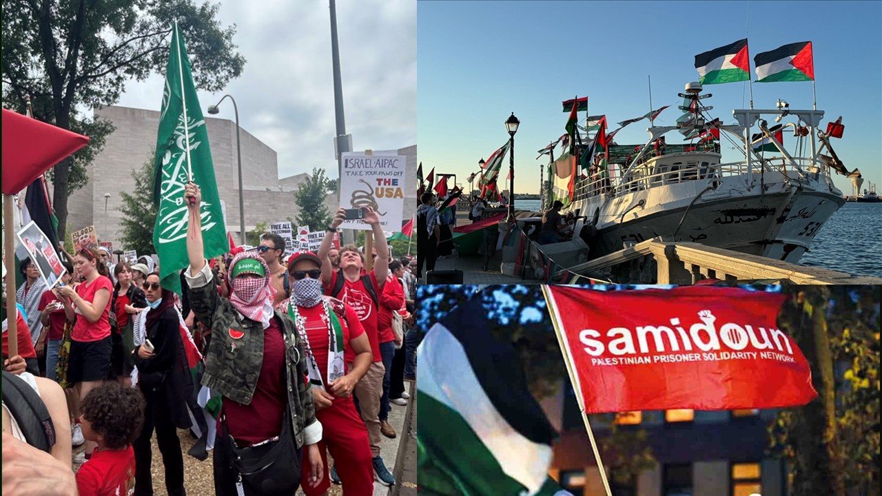 Protests and solidarity events featuring Palestinian flags and banners, highlighting support for Palestinian rights and awareness of political issues.