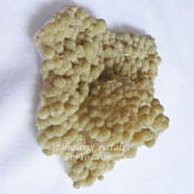Gyrolite Boosts Qi Flow, Helps Broken Bones Aids Pain