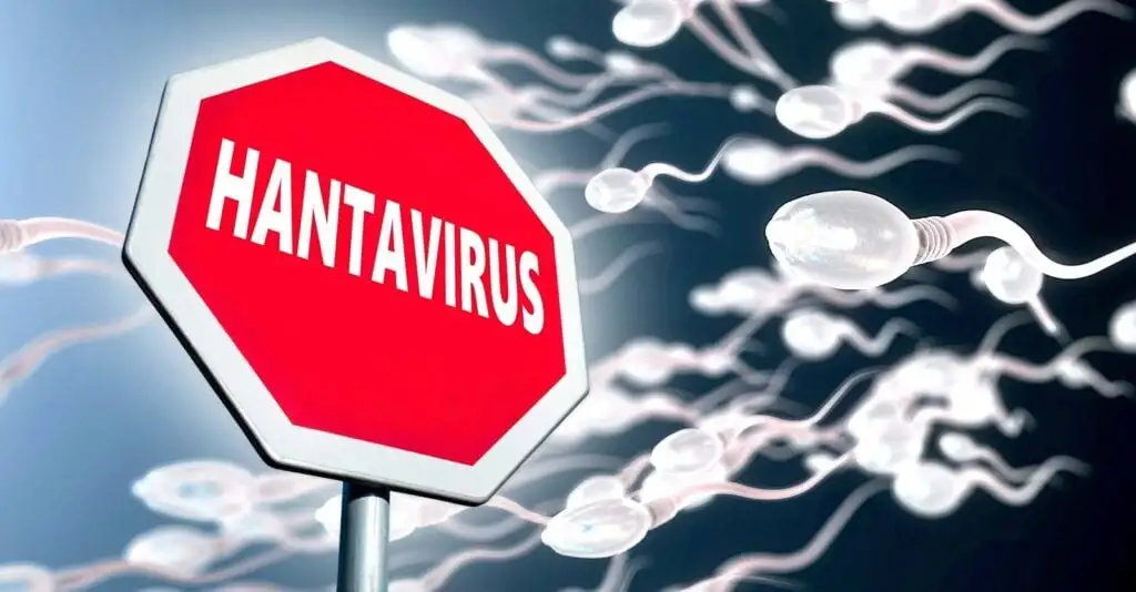 Does Hantavirus Survive in Human Sperm? The Real Story Behind the Latest Hantavirus Hysteria