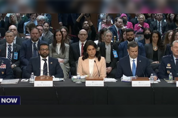 CIA Accused of Illegally Spying on Tulsi Gabbard and Interfering with DNI Investigations in Bombshell Report and Whistleblower Testimony (VIDEO)