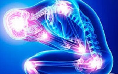 Systemic Inflammation & The Need For Deep Medicine : An Interview with Raj Patel, PhD and Rupa Marya, MD