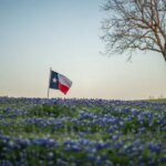 Why Libertarians & Liberty Lovers Should Pursue Exit and Build Strategy (Derrick Broze – Texas Libertarian Party Convention) istockphoto-2192989129-612x612-1
