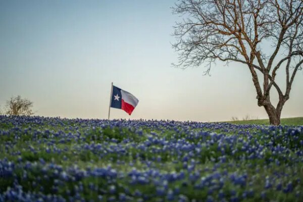 Why Libertarians & Liberty Lovers Should Pursue Exit and Build Strategy (Derrick Broze – Texas Libertarian Party Convention)