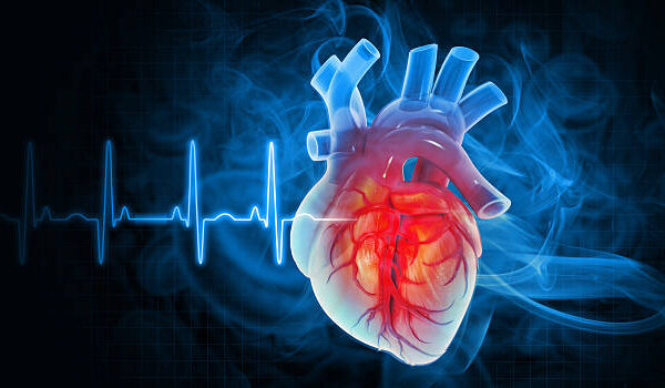Blood Clots May Be the Root Cause of All Heart Disease
