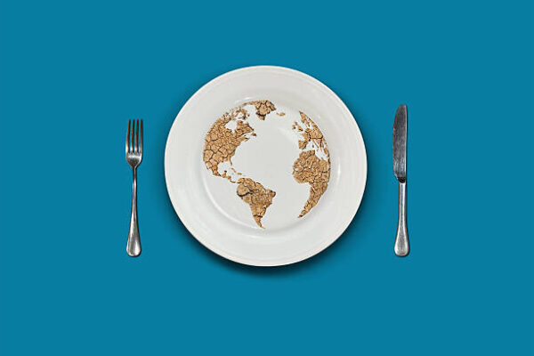 In 2026, the World Lost Up to 40% of Food Access in Days as Prices Surged Over 190% in a Silent Descent into Hunger