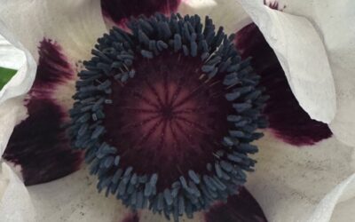 The Hit List – Super random things