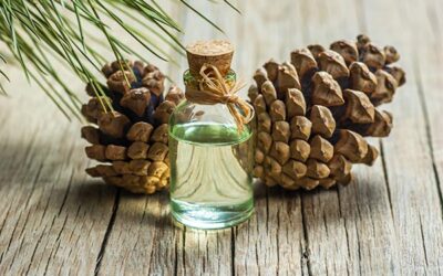 “Terrain: The Workshops” on BrightU: Historical remedy reemerges for modern detoxification and disease reversal