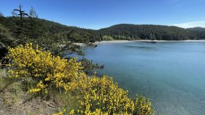 Photos of Rosario Beach of Deception Pass State Park