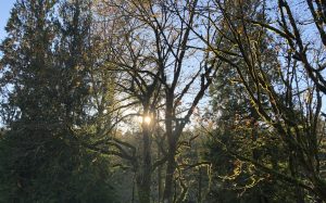 Photos of Mt Loop Highway in Washington State
