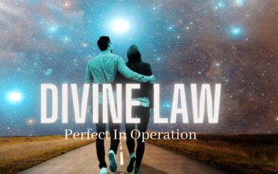 Divine Law Is Perfect In Operation
