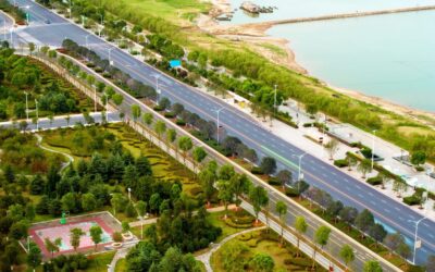 The urban cooling gap: why planting design matters as much as canopy count