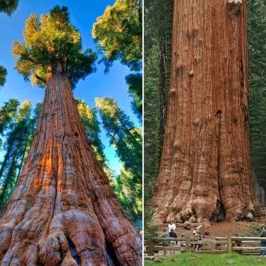 Our Sacred Planet Mother Earth in all of it’s Amazing Beauty and the Quote of the Day 166