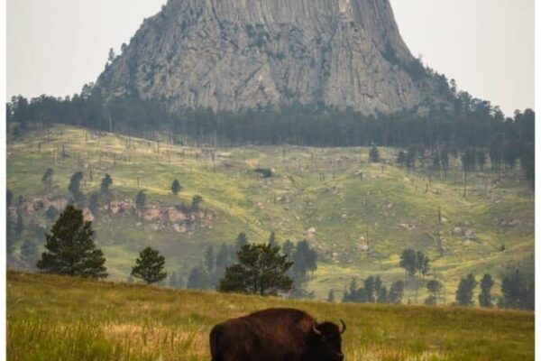 Our Sacred Planet Mother Earth in all of it’s Amazing Beauty and the Quote of the Day 165