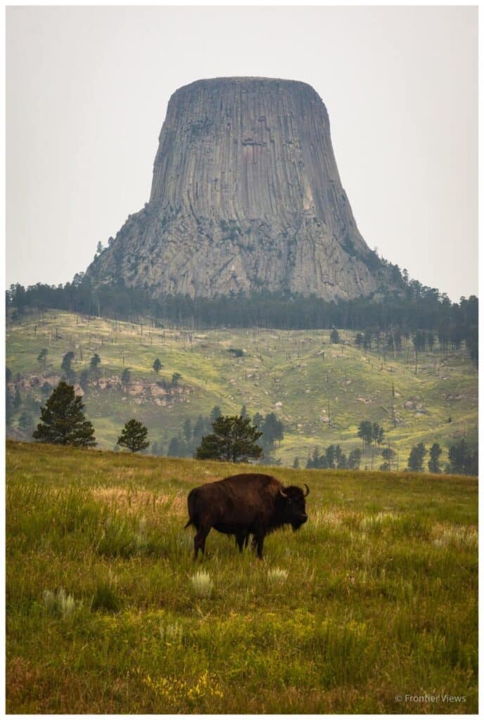 Our Sacred Planet Mother Earth in all of it’s Amazing Beauty and the Quote of the Day 165