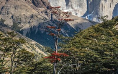 Our Sacred Planet Mother Earth in all of it’s Amazing Beauty and the Quote of the Day 183