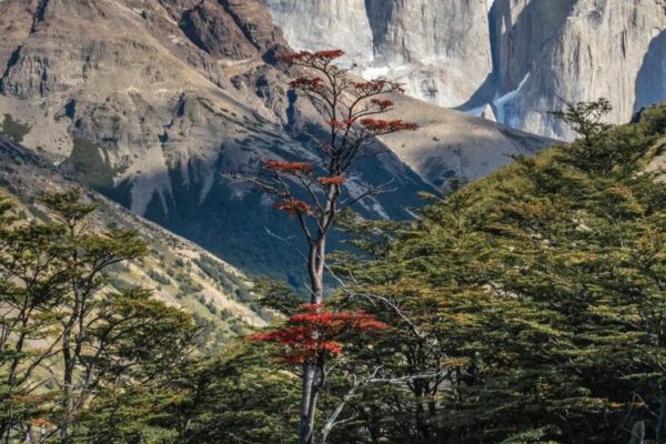 Our Sacred Planet Mother Earth in all of it’s Amazing Beauty and the Quote of the Day 183