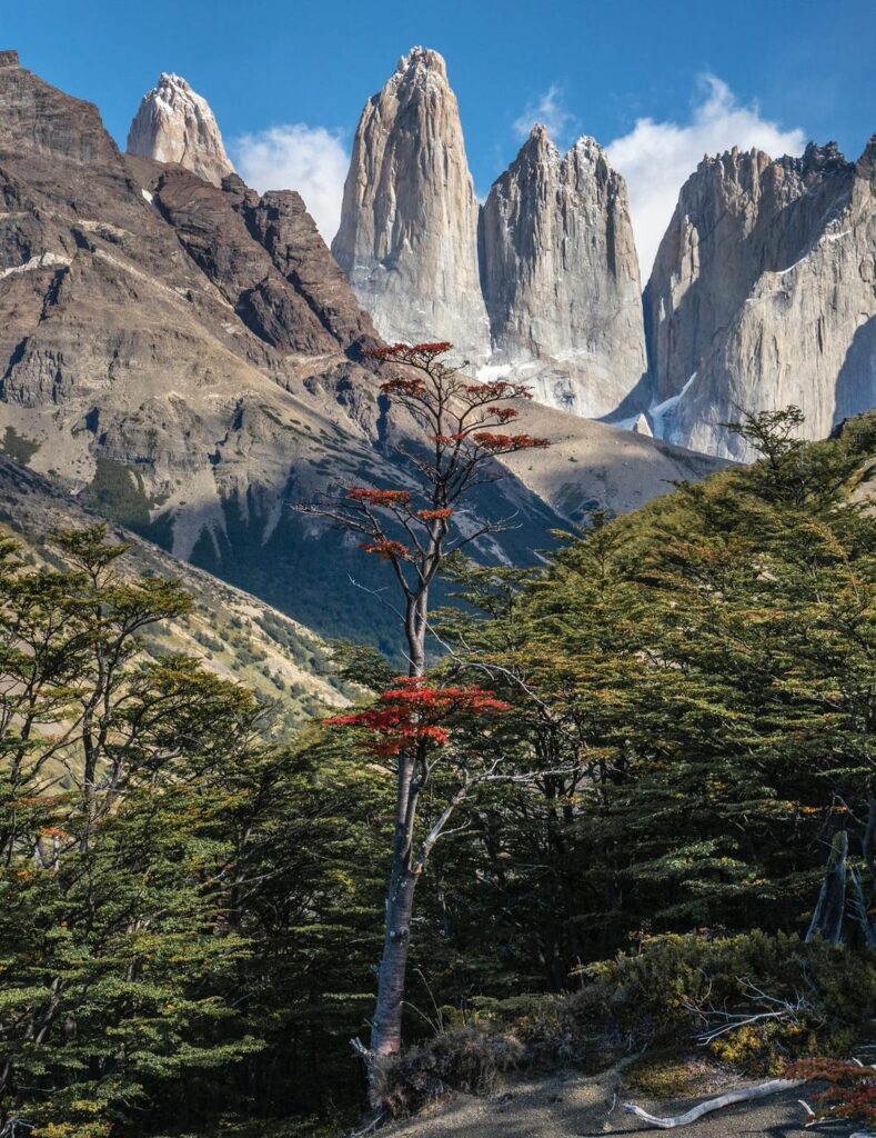 Our Sacred Planet Mother Earth in all of it’s Amazing Beauty and the Quote of the Day 183