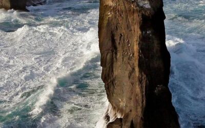 Our Sacred Planet Mother Earth in all of it’s Amazing Beauty and the Quote of the Day 186