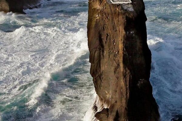 Our Sacred Planet Mother Earth in all of it’s Amazing Beauty and the Quote of the Day 186